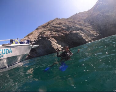 lorna_cox_bdsm Open water diving Pic