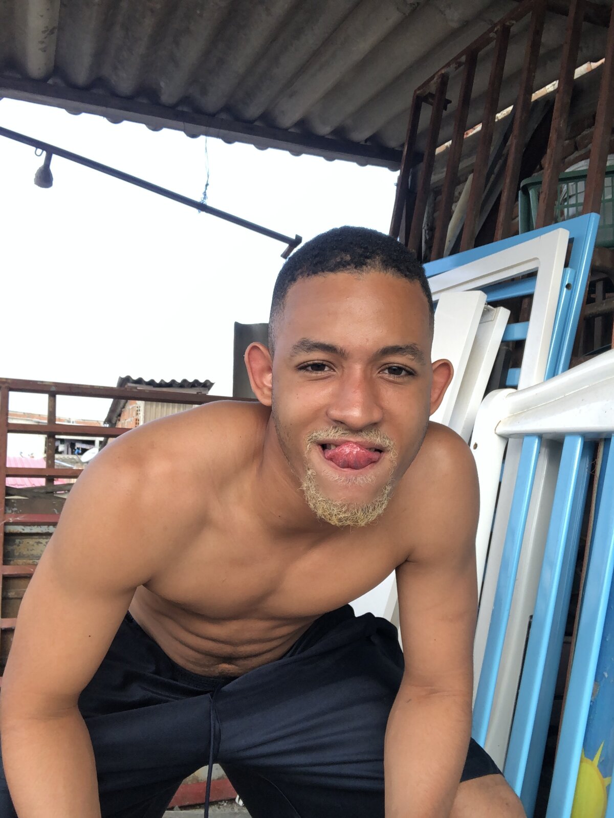 B_Wild Populära bilder 4604