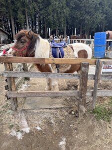 muichat_61のfavoriteの枚の写真