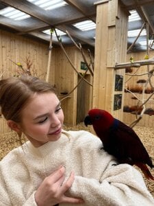 MiraBliss Public Fotka