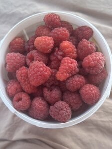 stripcouplee <3 зображення 3