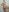 Su_Duarte_1Posições图片 3