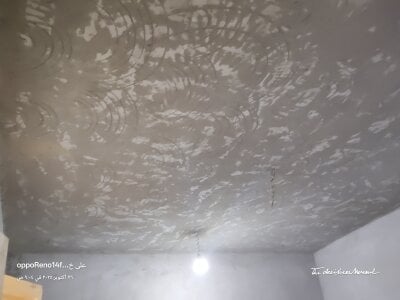 aser337 Public 圖片 5