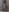 RoxyRayneXO Nudes Pic 2