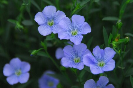 MOEMOE-Q Public صورة واحدة|MOEMOE-Q Public صورتان|MOEMOE-Q Public  4 صور|MOEMOE-Q Public  4 صورة