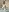 HoneyAndBee2 Foxy hot album for my best fans :3 Pic 6