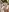SofiaAdamsMasturbation in public照片 9
