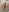 PrettyAshley_QueenDashaCum On Ass & Panties照片 9