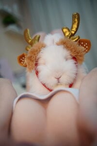 Zdjęcia Kristy_mysti Public:  8