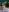 navywildxxx Free bundle 3 blue bikini Pic 5