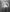 Whitney_Svonn Wet shower pics 사진 4
