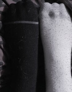 Camellia-Pink Photos Pic 3