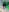 shanon_hughes_ Saint Patrick🍀 Pic 4