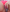 _Bella_Candy_ Brincadeira de leve Photo 7