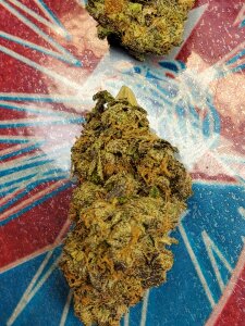 ddnutz@xh Me my skills & nuts at wo_ Gambar 4