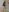 Lollipop_GirlsLengerie照片 2