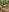 Naked on the Forest de BlackNike Fotos XXX 3