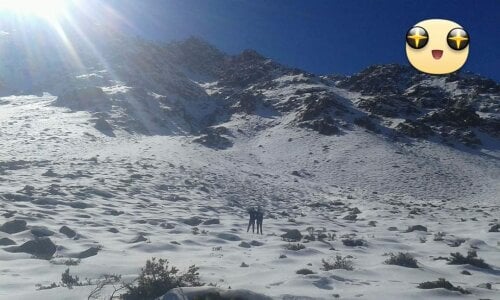 andrebon201Public图片