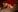Dulse_ Hot❤️‍🔥 Pic 4