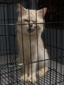 bebe_hemosa69x my bby Pic