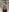 Mia_Tin Halloween OutFit Pictures (˵ •̀ ᴗ - ˵ ) ✧ Photo 4