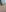 lolitaalovee NUDES Pic 6