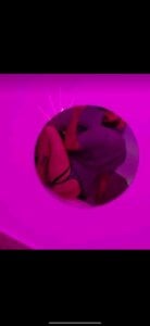 Kike8090 Public 圖片 2