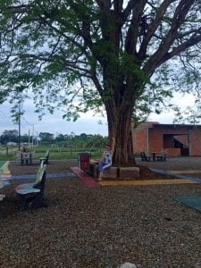 connecting with nature de Chanelll_Taylorr_ Foto 2