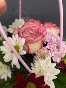 Xonalenei Public Foto 5