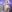 Ink__pleasureshibari 2照片