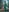MikyLust Teaser 🤫 Pic