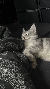 Lana__May Public Pic 4