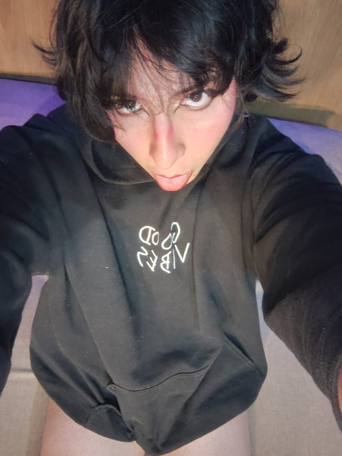 Shelly_bat Image populaire  8473