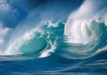 Sweet_Daddy_John kullanıcısının Daddy John albümü -  fotoğraf