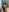 marcelinha30Fotos bate leque照片 2