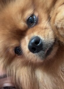 CurvyKimmy1 Love bug 사진