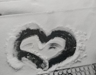 Lana-murr Public Pic