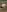 Nikkierosee Naked shots in the jungle Pic