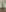 CelestialFoxxx 🍀 MARCH CLUB - Lucky Charms 🍀 Orange Lingerie + nude Pic 5