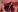 hanajameela kisses for you Photo 6