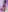Michell_sr Ass🫣 Photo 5