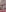 Nicolleurgrl Color Come Back Pic 2