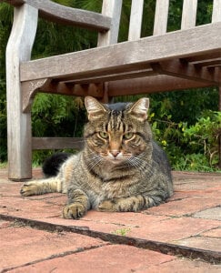 FreirenLover Public صورة واحدة|FreirenLover Public صورتان|FreirenLover Public  صور|FreirenLover Public  صورة