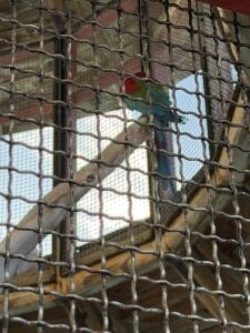 GinaValentinna Travel view😍 Pic 4