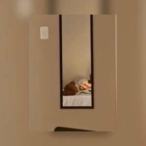 IrisStallion Public Immagine 