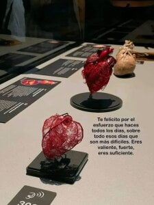 ne_yo69 kullanıcısının Public albümü -  3 fotoğraf