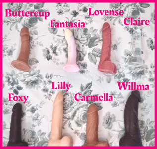 LaRouxxx My Toys Pic 3