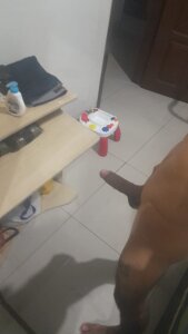 Dotadobelempa Public Pic