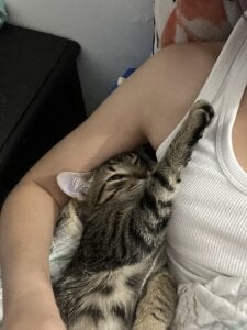 hello :3 hehe de Akaza_Hakuji_  7 photos