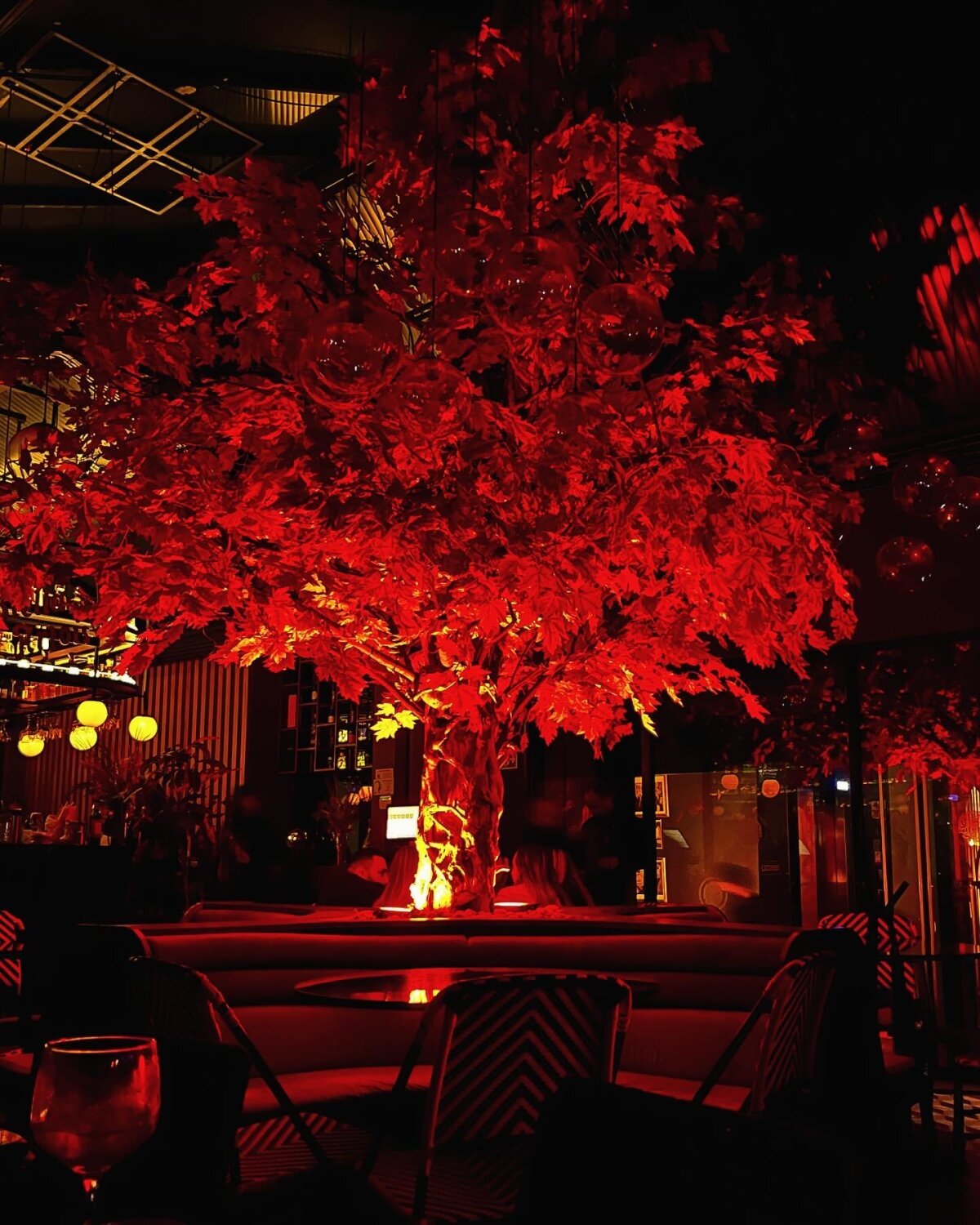 Трендове зображення  9794 nate_rott